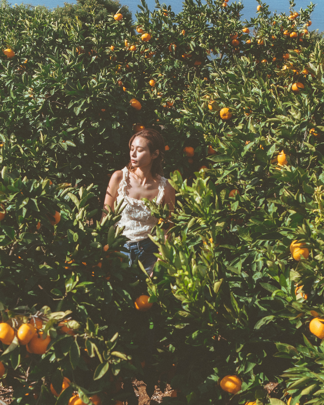 かわち ROOM FABRIC MIST 200ml